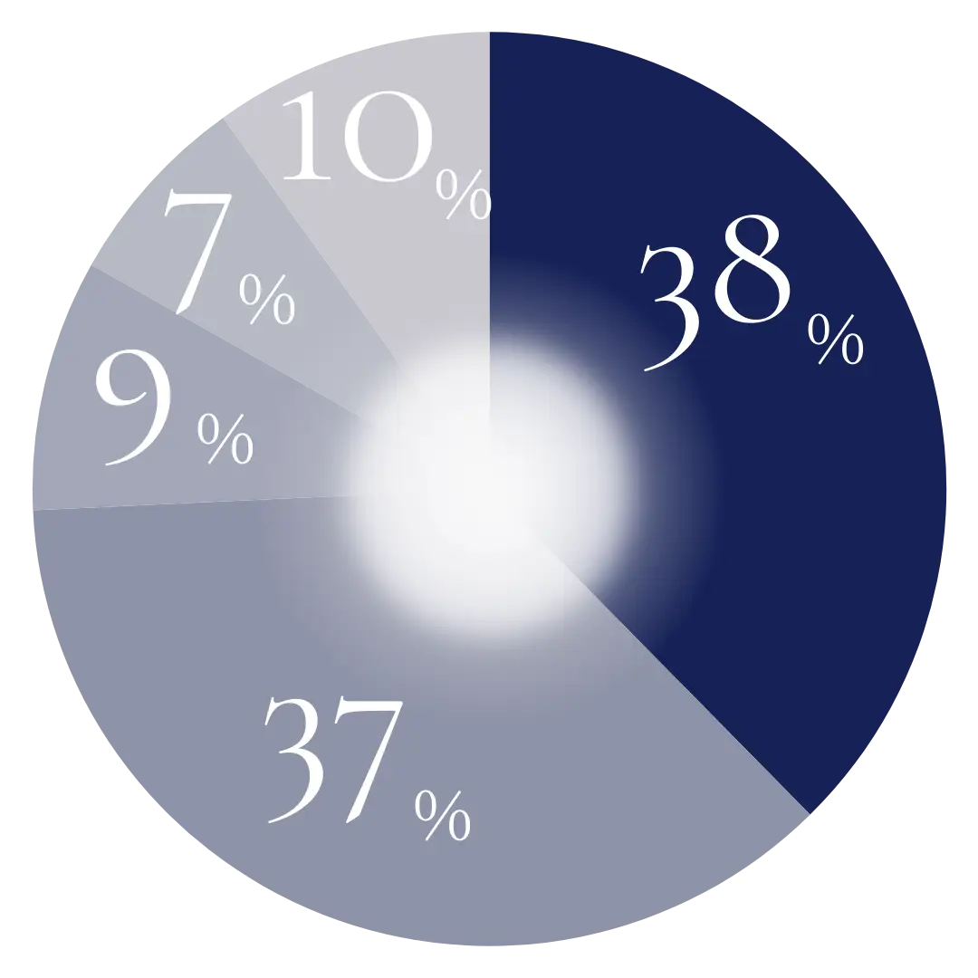 クライアントの規模別割合
